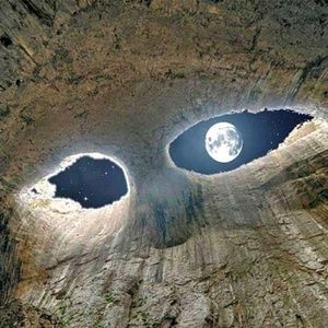 Meet your Posher, Steve